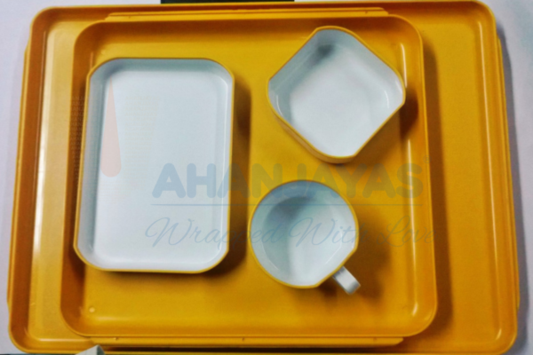 ABS Meal Trays in India