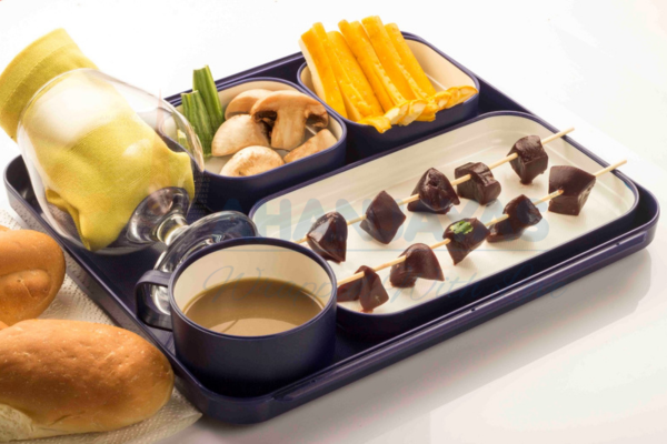 ABS Meal Trays in India